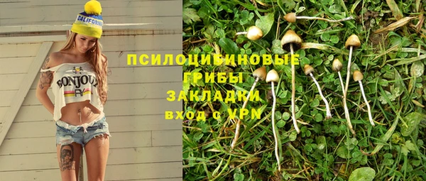 соль ск Вязьма