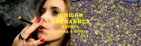 2c-b Вяземский